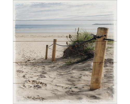 Houten wanddecoratie met strandmotief, palen en touw