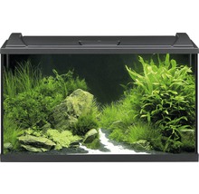 EHEIM Aquarium Aquaproled LED zwart 126 L, 80x35x45 cm-thumb-0