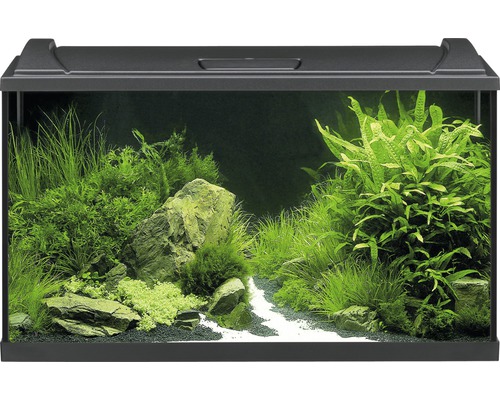 EHEIM Aquarium Aquaproled LED zwart 126 L, 80x35x45 cm EHEIM Aquarium Aquaproled LED zwart 126 L, 80x35x45 cm