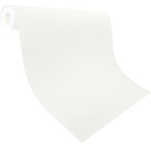MODULAN Renovatievlies voorgeschilderd 150 gr/m² 0,75x20 m-thumb-2 MODULAN Renovatievlies voorgeschilderd 150 gr/m² 0,75x20 m-thumb-2