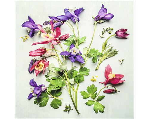 PURE LIVING Schilderij glas Flower Collection V 50x50 cm