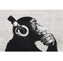 REINDERS Poster The chimp stereo - wall 61x91,5 cm