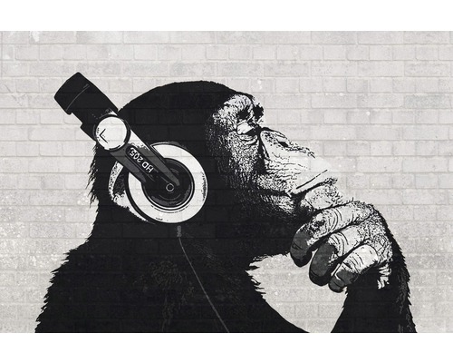 REINDERS Poster The chimp stereo - wall 61x91,5 cm