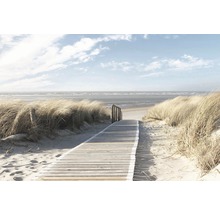 REINDERS Poster Dunes 61x91,5 cm