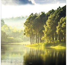 Landschap met meer en bomen