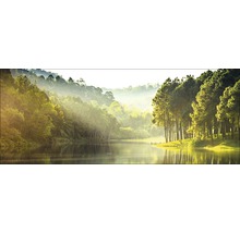 Landschap met meer, bos en ochtendmist