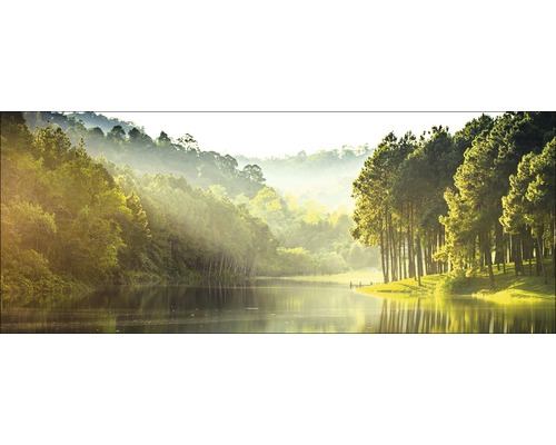PURE LIVING Schilderij glas Forest Atmosphere I 30x80 cm