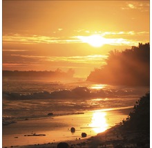 Zonsopgang boven de zee met strand en vegetatie