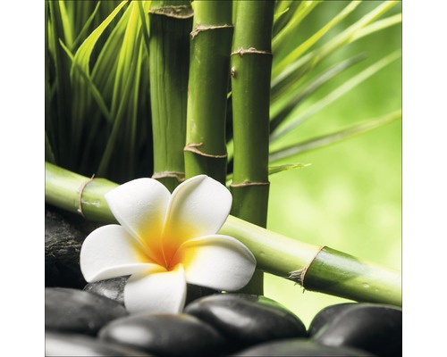 PURE LIVING Schilderij glas Flowers Stones Bamboos III 30x30 cm