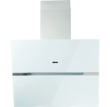 Wand afzuigkap voor de keuken