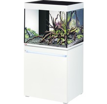 Aquariumcombinatie met onderkast, uitgerust met planten en decoratie
