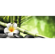 Decoratieve schikking met bamboe, frangipani bloem en zwarte stenen