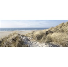 Duinlandschap met helmgras en zee