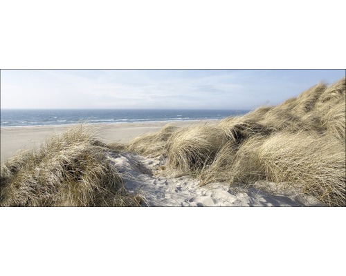 Duinlandschap met helmgras en zee