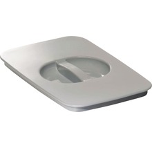 Toiletdeksel van kunststof