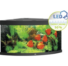Hoekaquarium met vissen en planten, voorzien van LED-verlichting voor energiebesparing