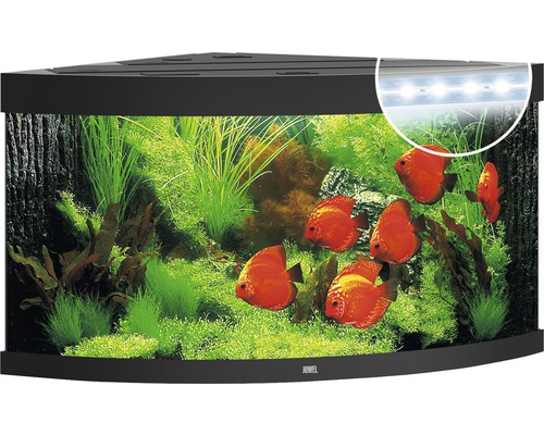 Hoekaquarium met planten en vissen