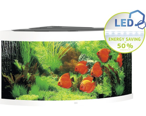 Hoekaquarium met ledverlichting en tropische vissen