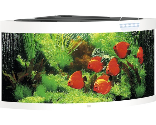 JUWEL Aquarium Trigon LED wit 350 L, 123x87x65 cm