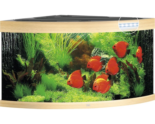 Hoekaquarium met planten en vissen