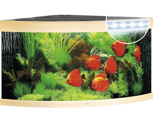 JUWEL Aquarium Trigon LED licht hout 350 L, 123x87x65 cm