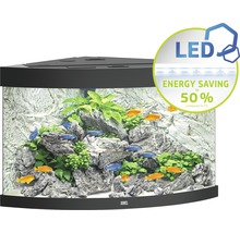 Hoekaquarium met vissen, planten en LED-verlichting voor energiebesparing