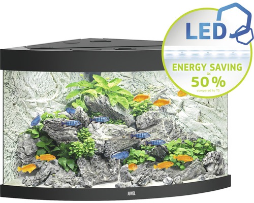 Hoekaquarium met vissen, planten en LED-verlichting voor energiebesparing