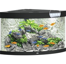 Hoekaquarium met vissen, stenen en planten van het merk Juwel
