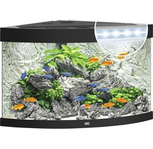 Hoekaquarium met vissen, planten, stenen en verlichting