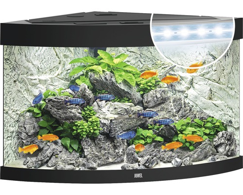 Hoekaquarium met vissen, planten, stenen en verlichting