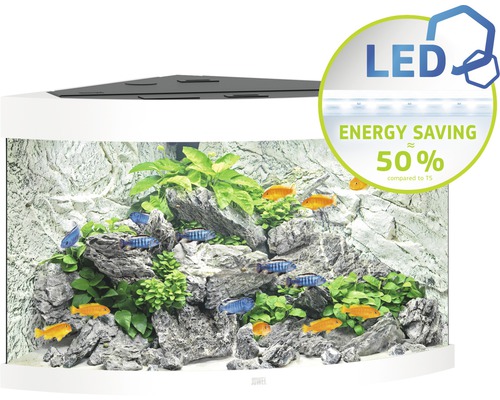 Hoekaquarium met vissen, stenen en planten