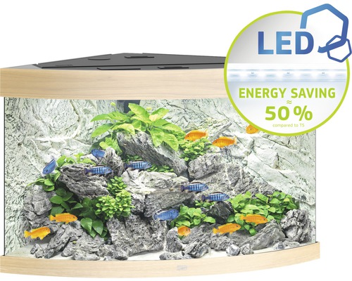 Hoekaquarium met vissen, planten, stenen en ledverlichting