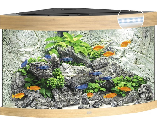 Hoekaquarium met decoratie, planten en vissen