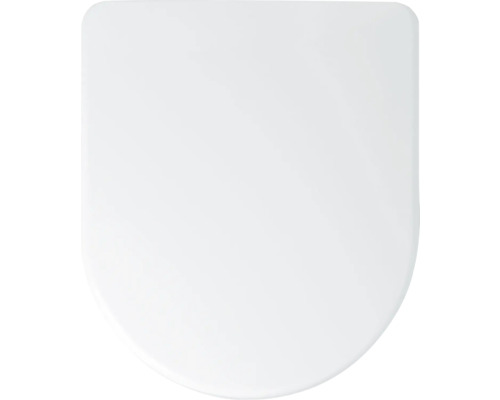 Toiletdeksel van kunststof