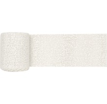 GLOREX Gipsverband 5mx10cm
