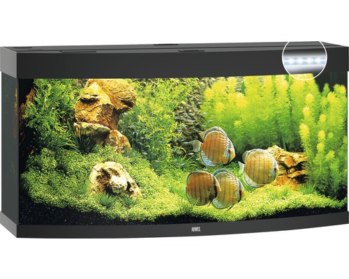 Aquarium ingericht met vissen, planten en stenen