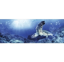Decoratieve wanddecoratie met onderwatermotief en zeeschildpad