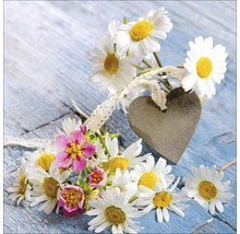 Decoratieve madeliefjes en hart op houten achtergrond