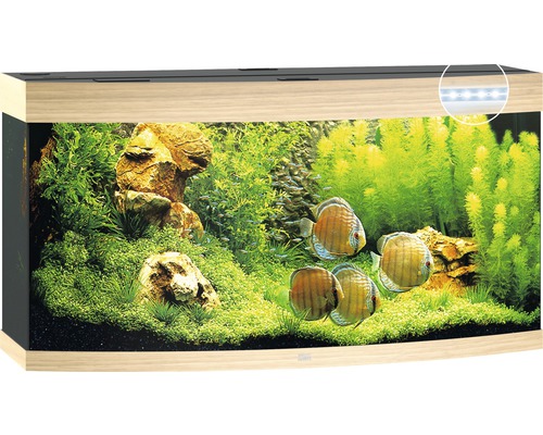 JUWEL Aquarium Vision LED licht hout 260 L, 121x46x64 cm
