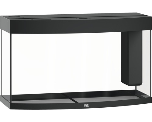 Leeg Juwel aquarium met filter