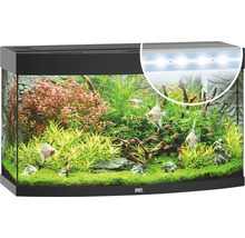 Juwel aquarium met planten, vissen en verlichting