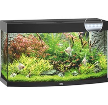 Ingericht Juwel aquarium met vissen en planten