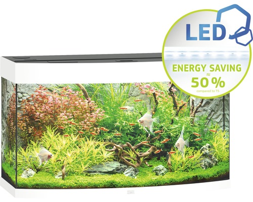 Aquarium met vissen en waterplanten