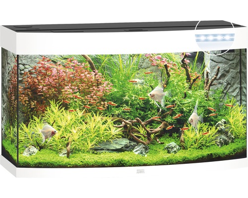 JUWEL Aquarium Vision LED wit 180 L, 92x41x55 cm