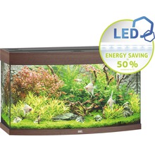 Ingericht aquarium met ledverlichting en planten