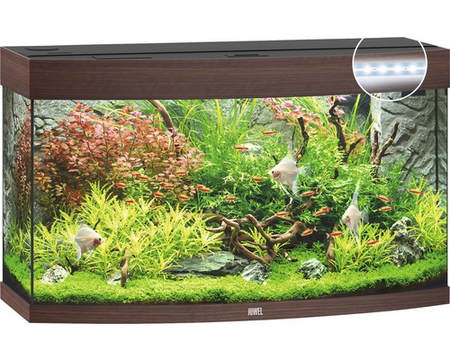 Aquarium met planten en vissen van het merk Juwel
