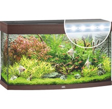 Aquarium met vissen en planten van het merk Juwel
