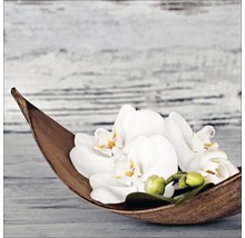 Decoratieve schaal met witte orchideeën bloemen