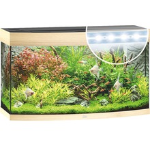 Ingericht aquarium met vissen en planten