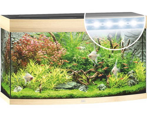 Ingericht aquarium met vissen en planten